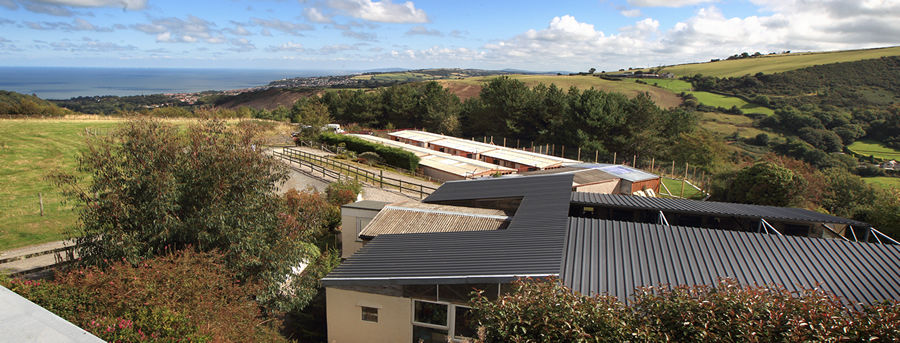 Hafod-Y-Bryn Kennels & Cattery Gallery, Colwyn Bay, N Wales
