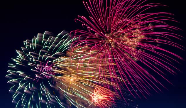 How to Look After your Pets on Bonfire Night