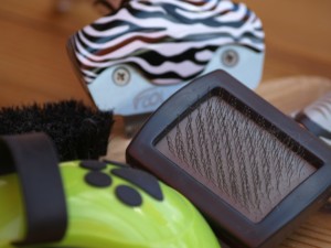 Dog Grooming 