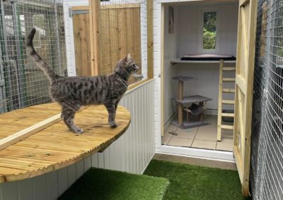 catio 2