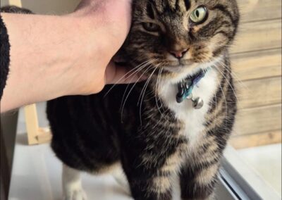 IMG_7941